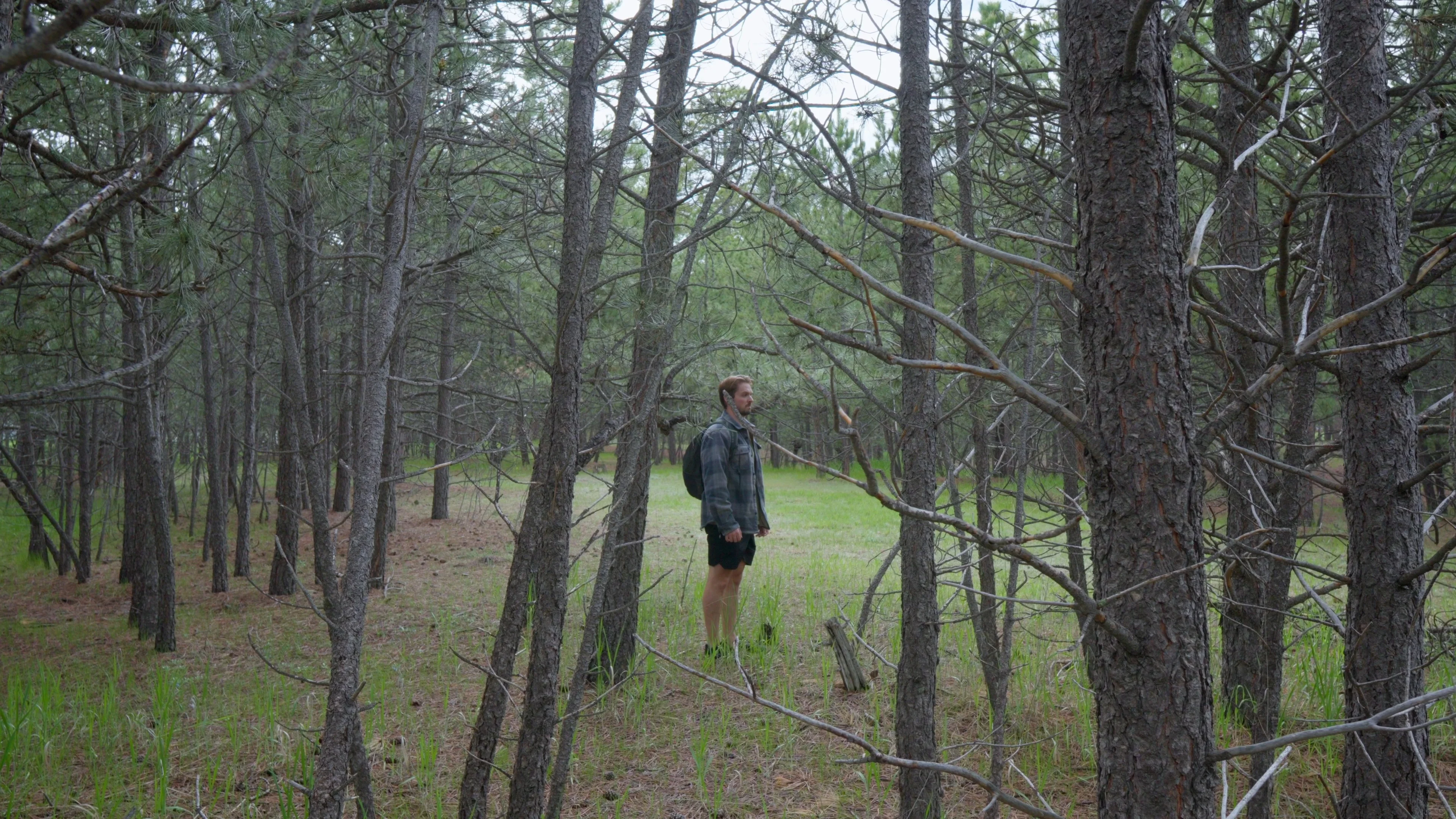 Mattie standing in a woodland clearing, reflecting on Logic Pro's plugin lineup covered in Part 1